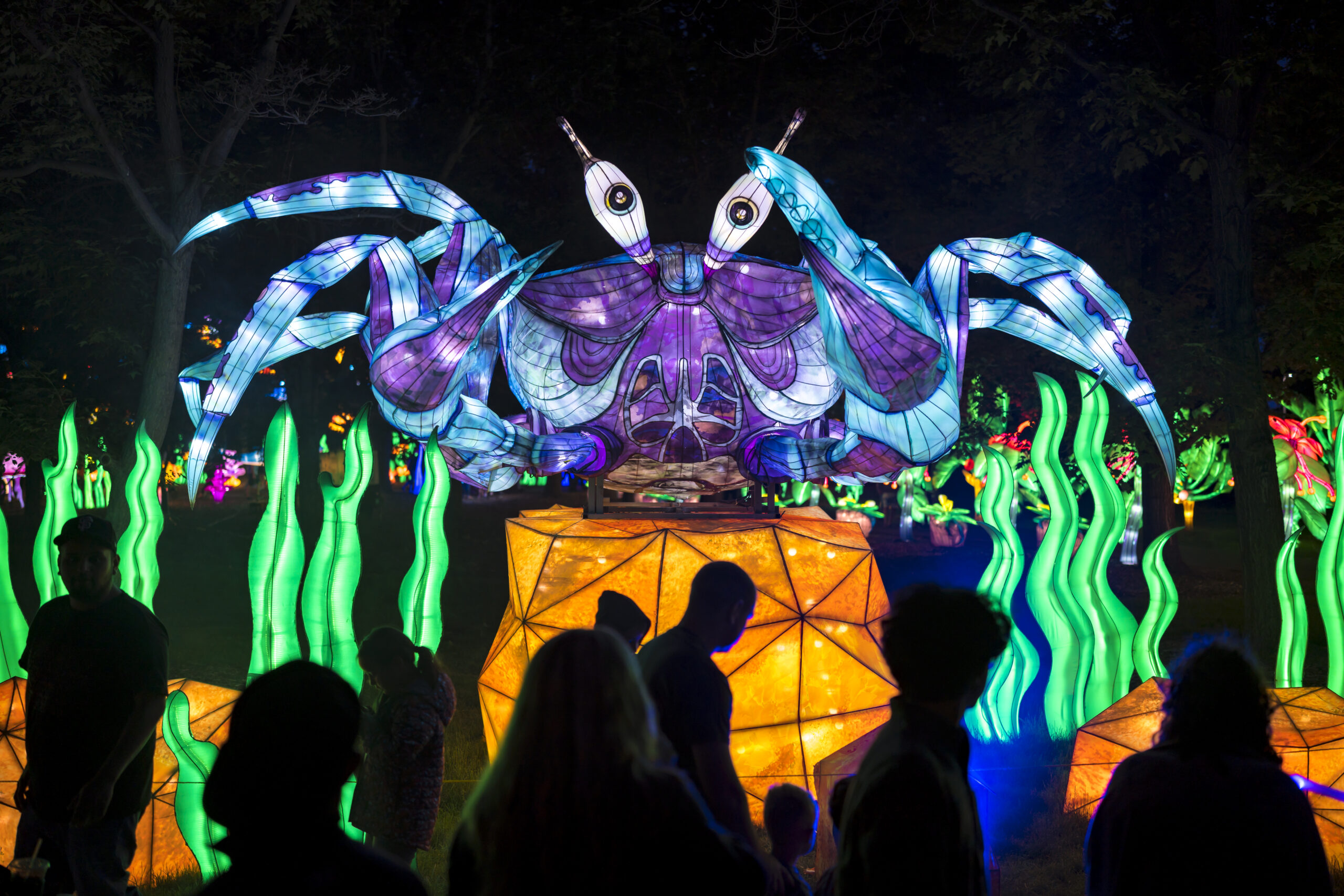 Bright Nights Festival Brings Glowing Lantern Sculptures to Four